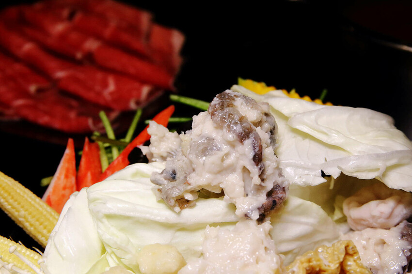 宜蘭爾本購物廣場新開幕！潮派平價頂級魚翅汕頭鍋物專家，全宜蘭