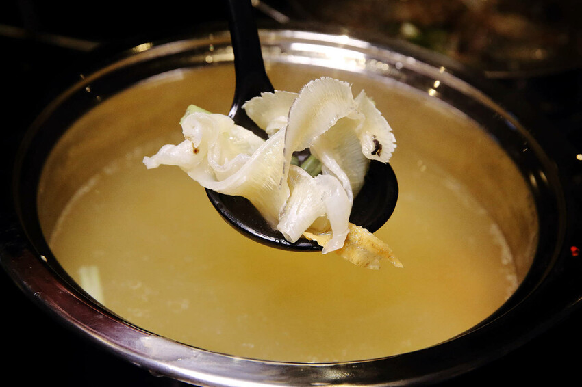 宜蘭爾本購物廣場新開幕！潮派平價頂級魚翅汕頭鍋物專家，全宜蘭