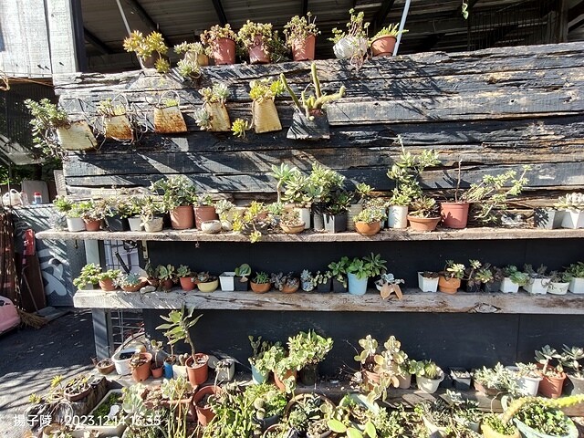 2023宜蘭三星、差不多御藏私房，無菜單料理～