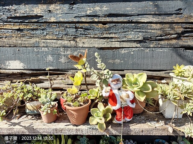 2023宜蘭三星、差不多御藏私房，無菜單料理～