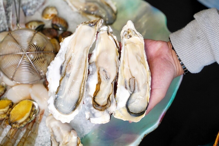 新竹麻辣鍋推薦!「六野鴛鴦鍋物」不能錯過超浮誇頂級豪華巨無霸貝殼海鮮船,整體食材新鮮,重點是湯頭好喝,鴨血、豆腐、酸菜都能無限續! - 阿華田的美食日記