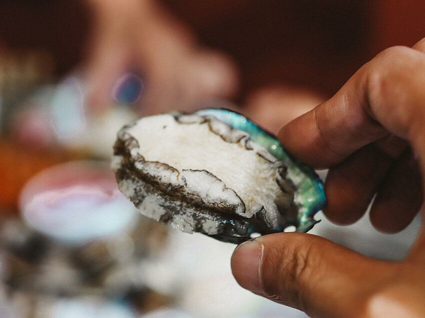 新竹六野鴛鴦鍋物全新開幕 奢華大龍蝦生食極干貝生蠔六人頂級豪華套餐只要$4999,六種自熬湯底內用白飯、王子麵免費供應