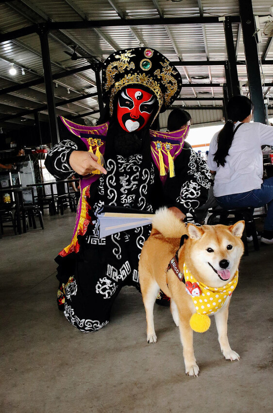 嘉義烤蚵吃到飽推薦！東石蚵王烤鮮蚵吃到飽，每人只要200元，