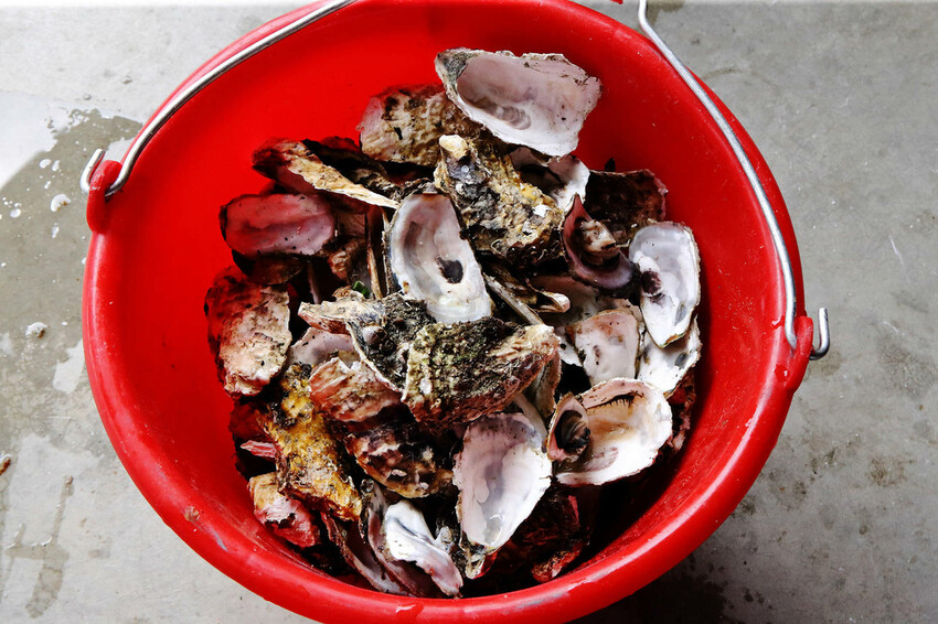 嘉義烤蚵吃到飽推薦！東石蚵王烤鮮蚵吃到飽，每人只要200元，