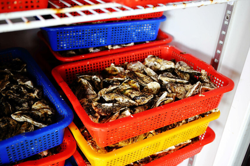 嘉義烤蚵吃到飽推薦！東石蚵王烤鮮蚵吃到飽，每人只要200元，