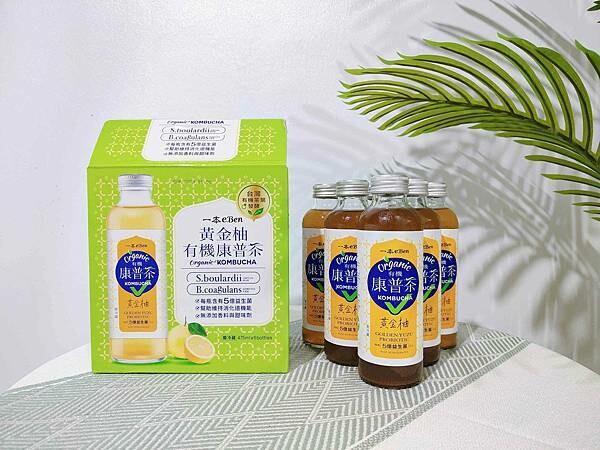 🥤好市多×一本有機康普茶〃黃金柚｜沁涼、解膩更健康的新選擇 