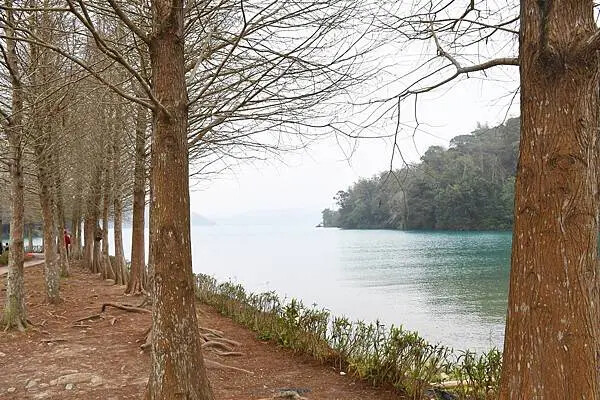 DSC_5231.JPG DSC_5231.JPG