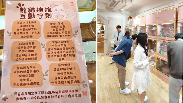 一秒飛入宮崎駿世界！台北南港悠悠龍貓咖啡廳：龍貓陪吃超療癒、拉花拿鐵超好拍(2025菜單/開箱片)