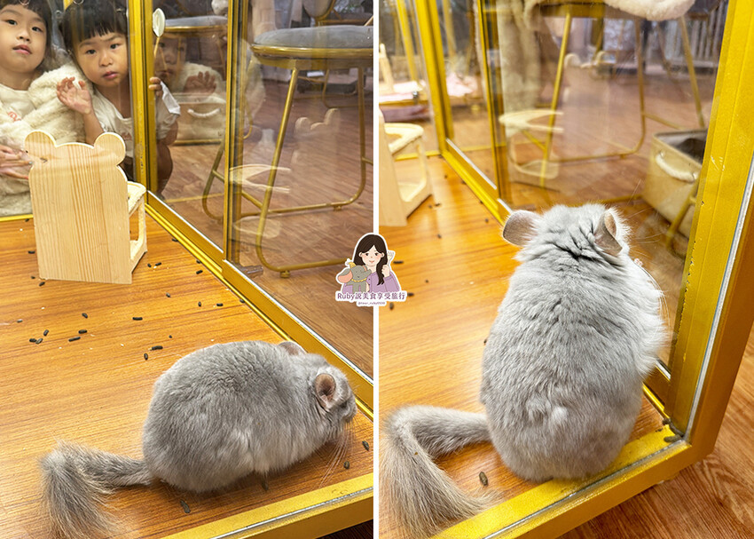 【南港|龍貓咖啡廳】悠悠龍貓咖啡 -全台第一間龍貓互動餐廳, 【南港|龍貓咖啡廳】悠悠龍貓咖啡 -全台第一間龍貓互動餐廳,