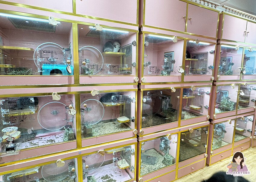 【南港|龍貓咖啡廳】悠悠龍貓咖啡 -全台第一間龍貓互動餐廳, 【南港|龍貓咖啡廳】悠悠龍貓咖啡 -全台第一間龍貓互動餐廳,