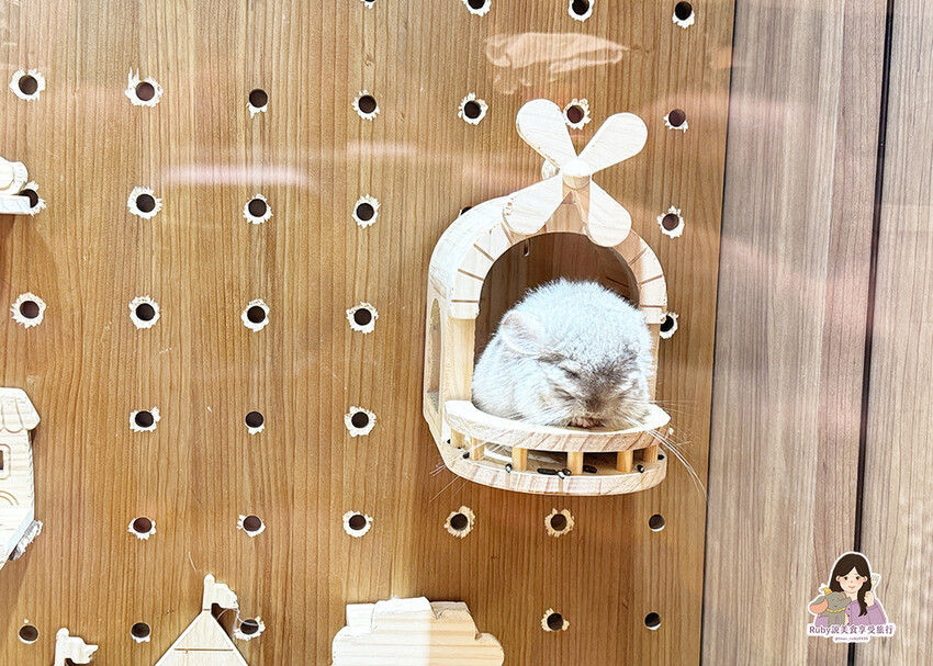 【南港|龍貓咖啡廳】悠悠龍貓咖啡 -全台第一間龍貓互動餐廳, 【南港|龍貓咖啡廳】悠悠龍貓咖啡 -全台第一間龍貓互動餐廳,