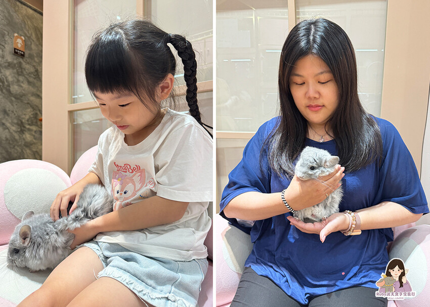 【南港|龍貓咖啡廳】悠悠龍貓咖啡 -全台第一間龍貓互動餐廳, 【南港|龍貓咖啡廳】悠悠龍貓咖啡 -全台第一間龍貓互動餐廳,