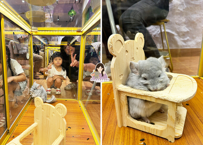 【南港|龍貓咖啡廳】悠悠龍貓咖啡 -全台第一間龍貓互動餐廳, 【南港|龍貓咖啡廳】悠悠龍貓咖啡 -全台第一間龍貓互動餐廳,