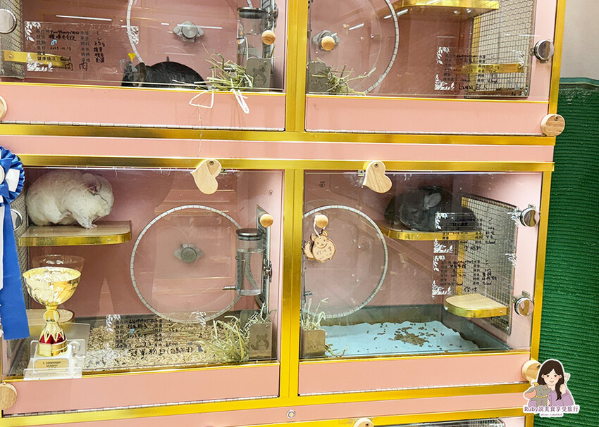 【南港|龍貓咖啡廳】悠悠龍貓咖啡 -全台第一間龍貓互動餐廳, 【南港|龍貓咖啡廳】悠悠龍貓咖啡 -全台第一間龍貓互動餐廳,