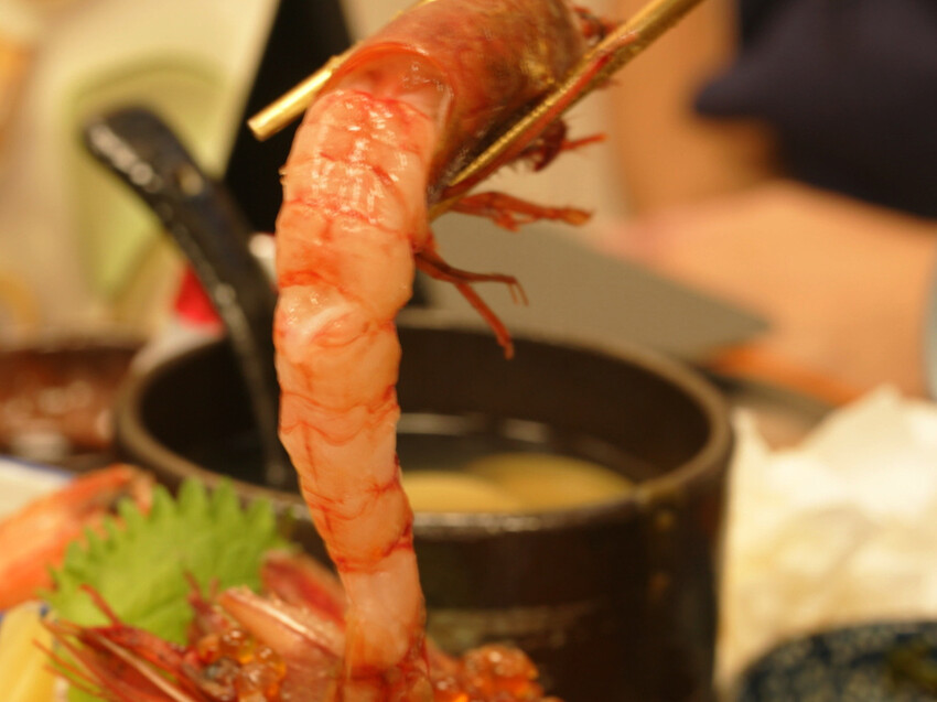 [ 桃園食記 ] 一鮨丼 One Sushi Don | 桃