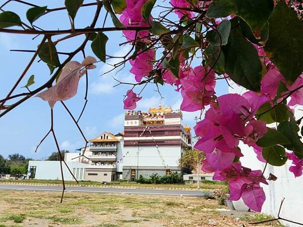 【台南住宿推薦】衡定理台南安平包棟民宿《澤居》電梯民宿的舒適空間及家的溫暖☆鄰近安平老街、漁光島、漁人碼頭