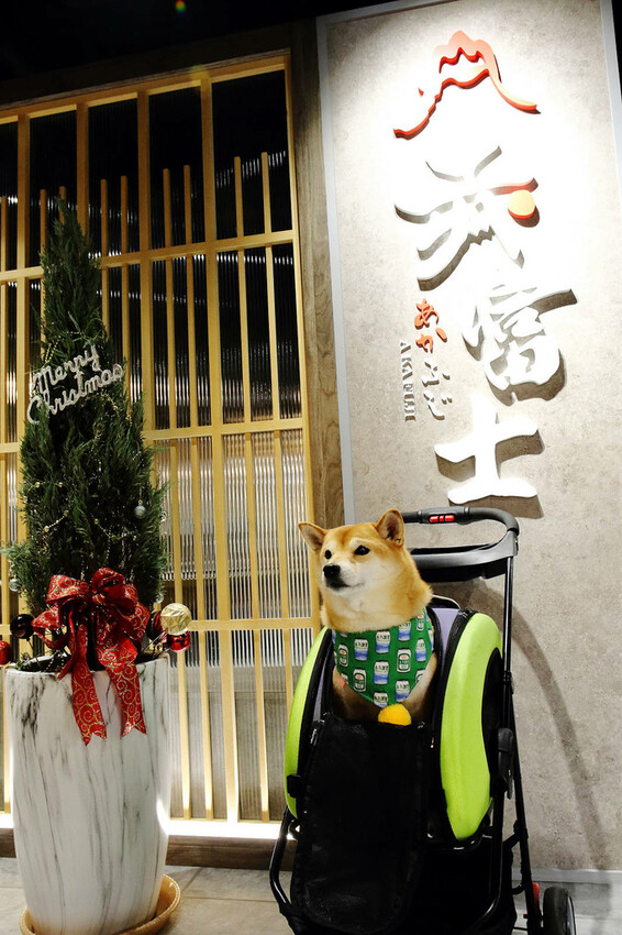 桃園最強「燒肉吃到飽」來中壢插旗啦！赤富士日式無煙燒肉鍋物-