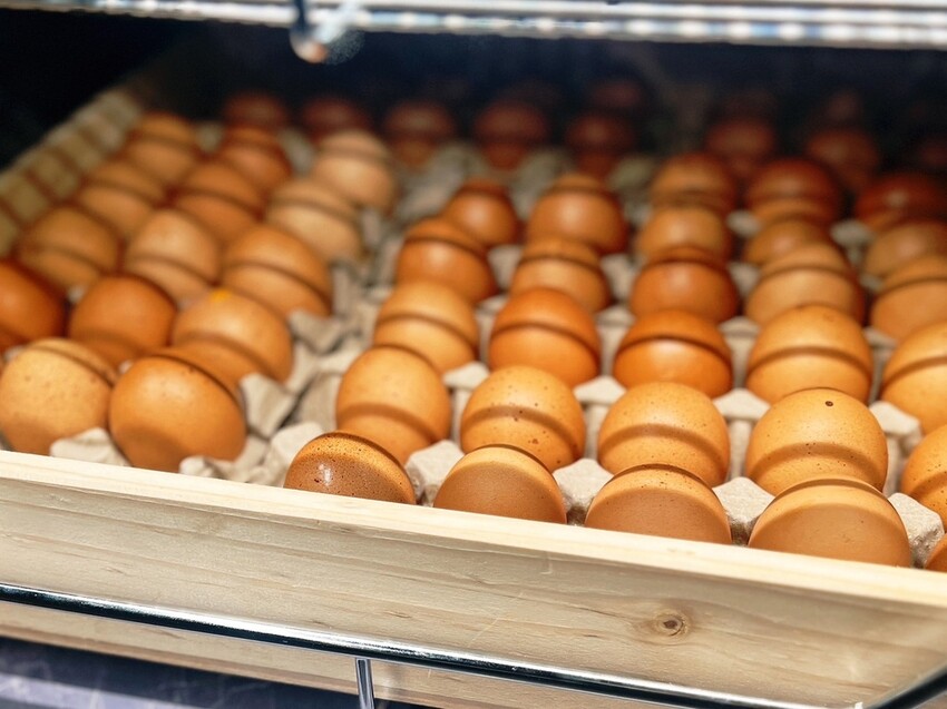 [ 桃園食記 ] 圍圍爐爐麻辣火鍋中壢延平店 | 中壢新開幕