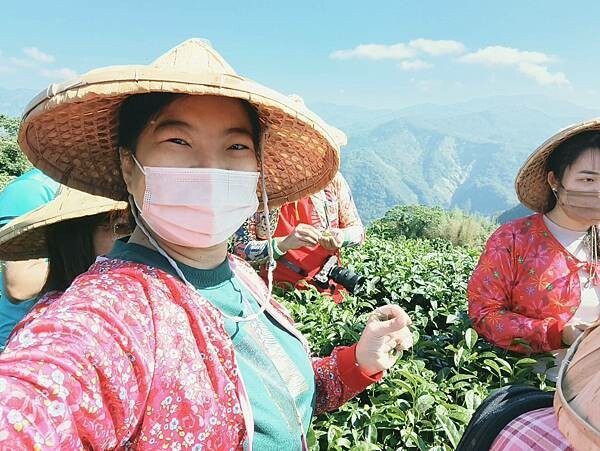 嘉義縣番路鄉(嘉義/番路)阿里山生力農場民宿&田媽媽景觀餐廳