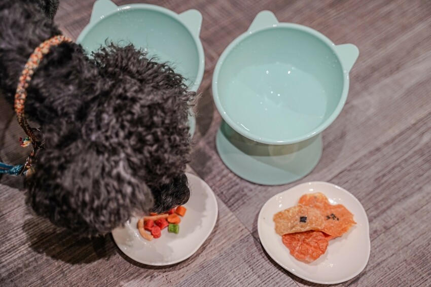 高雄美食｜韓式可頌現點現做 奶香味十足有甜有鹹口味超多種/寵