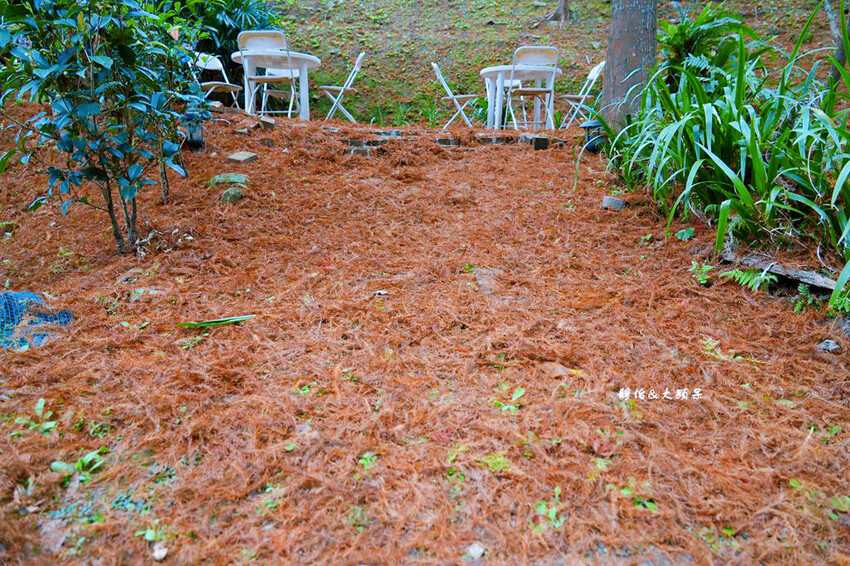 悠然秘境小屋 ❙ 山林裡小秘境，超隱藏版落羽松咖啡廳，桃園復