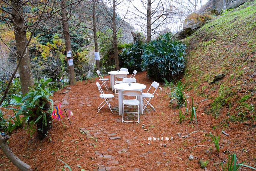 悠然秘境小屋 ❙ 山林裡小秘境，超隱藏版落羽松咖啡廳，桃園復