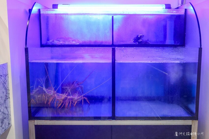 新北市蘆洲區【蘆洲火鍋】XO SHABU SHABU 蘆洲店，雙人肉王套餐送蛤蠣大滿足