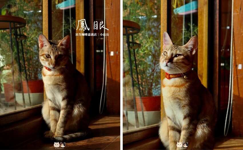 嘉義老宅咖啡廳|民生咖啡People & Life.Cafe