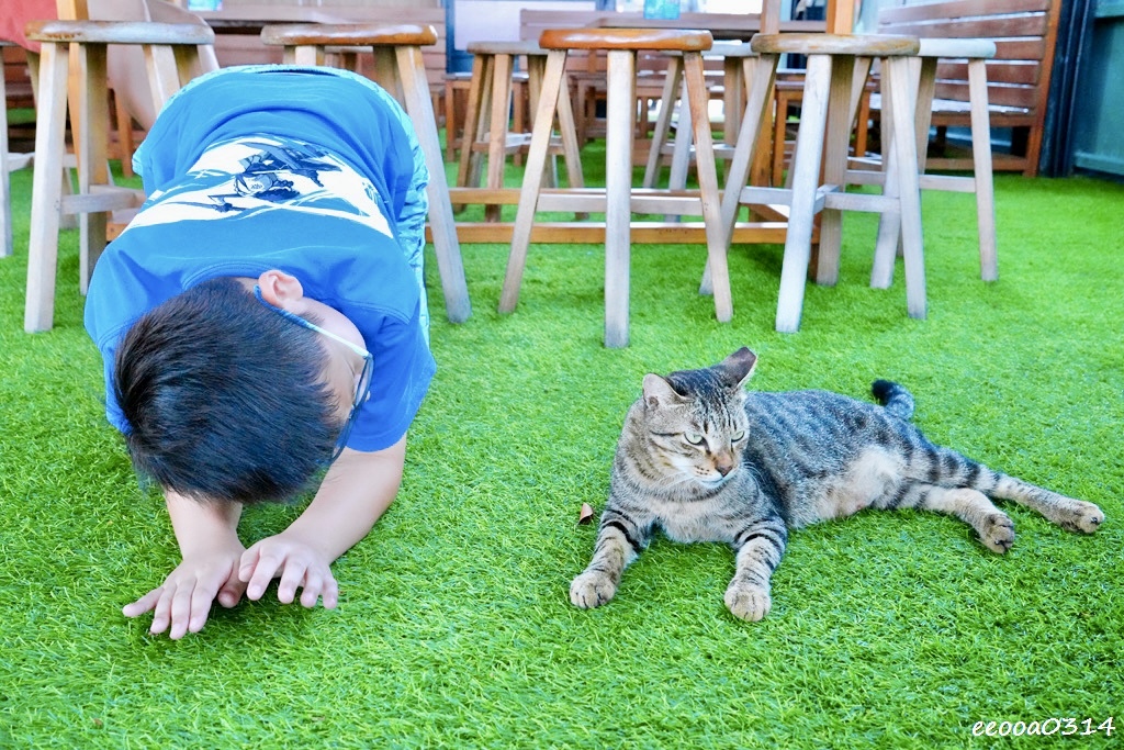 小琉球海找冰｜必訪海景冰店，吃冰看海超療癒，厚石群礁海景第一