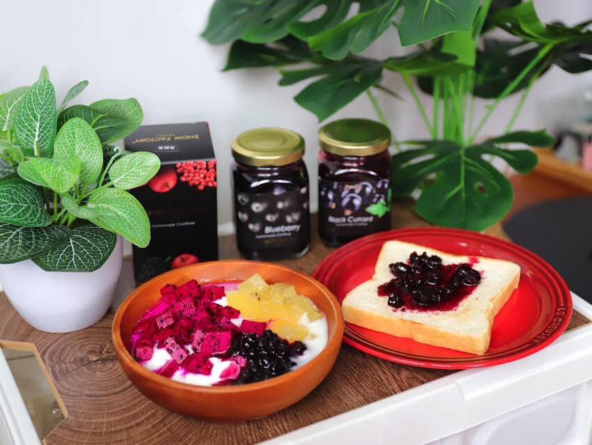 新北市新莊區SNOW FACTORY雪坊精品優格:100%鮮奶製作的國際級精品優格/優格冰淇淋.顛覆你對優格的想像