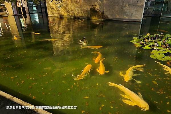 【台南/安平區】碳佐麻里精品燒肉(台南府前店)