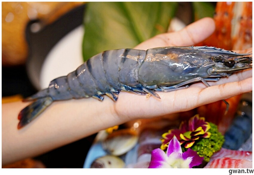 來自台南的人氣火鍋店,每月29號肉盤買一送一