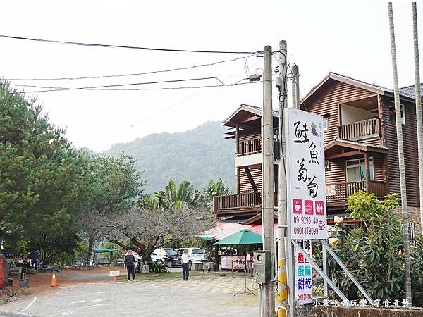 台中新社-鮭魚葡萄 (2).jpg