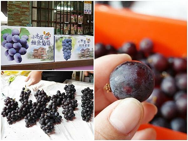 超甜-鮭魚葡萄 (1).jpg