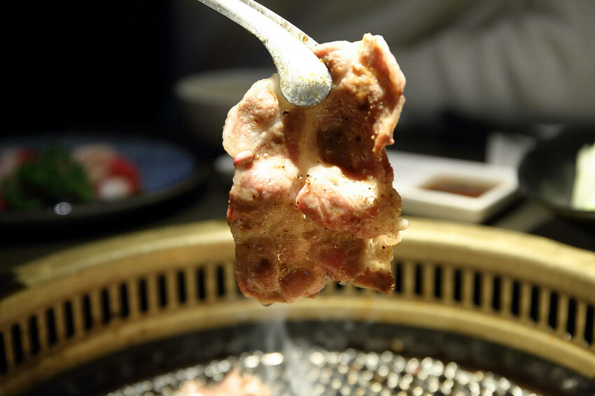 2024台中狗狗必打卡的燒肉,肉肉燒肉-燒肉界寵物友善餐廳,