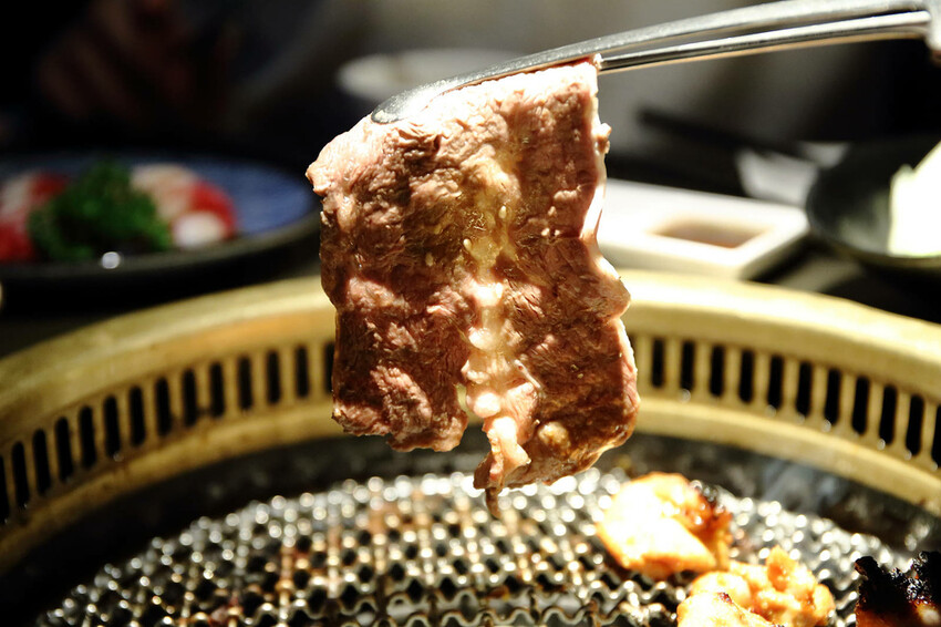 2024台中狗狗必打卡的燒肉,肉肉燒肉-燒肉界寵物友善餐廳,