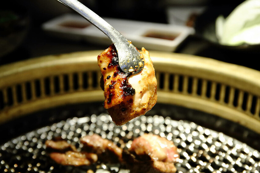 2024台中狗狗必打卡的燒肉,肉肉燒肉-燒肉界寵物友善餐廳,