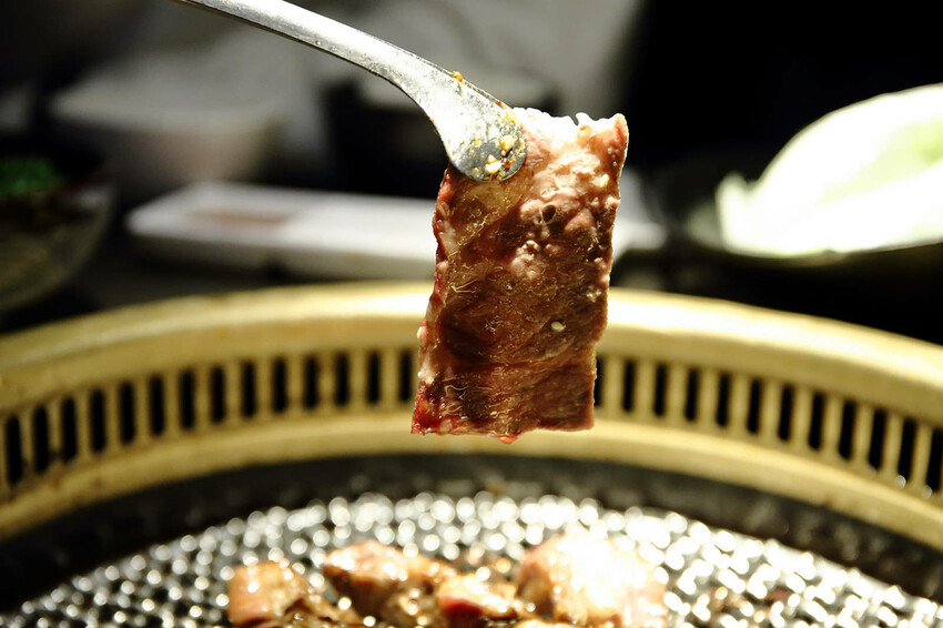 2024台中狗狗必打卡的燒肉,肉肉燒肉-燒肉界寵物友善餐廳,