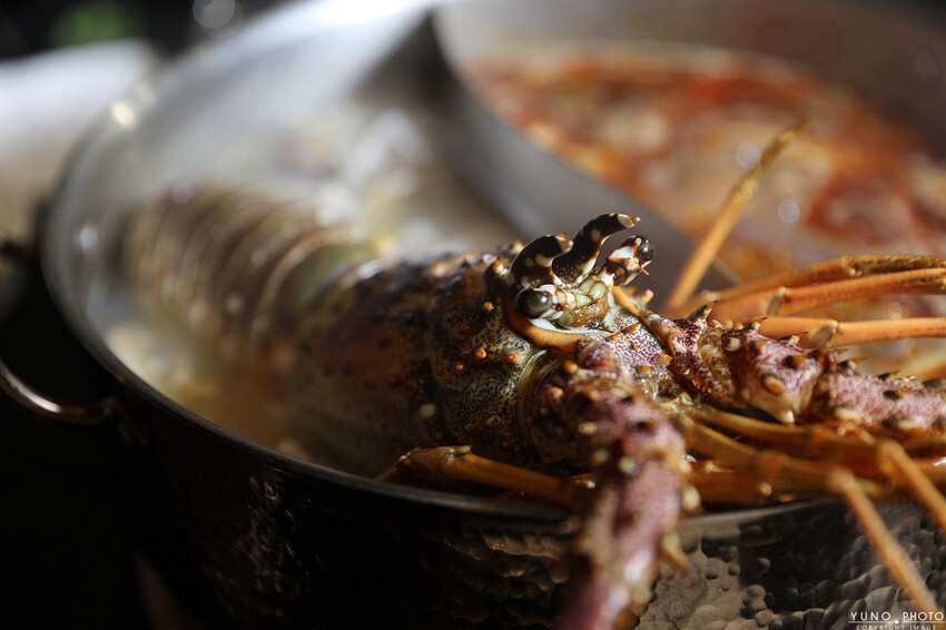 新竹市北區極致麻辣與酸菜白肉鴛鴦鍋 打造味覺盛宴 酸菜、豆腐、鴨血無限續 和牛＆大龍蝦海鮮盤超澎湃