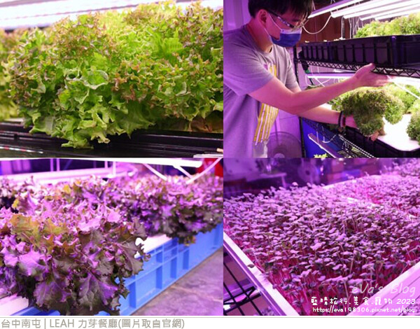 LEAH 力芽餐廳-20.jpg