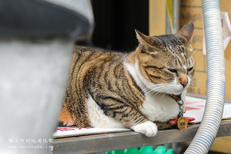 宜蘭縣蘇澳鎮超隱密的巷弄竟然有熱門的伴手禮店，想吃什麼都秤重量，在地人推魷魚絲必買