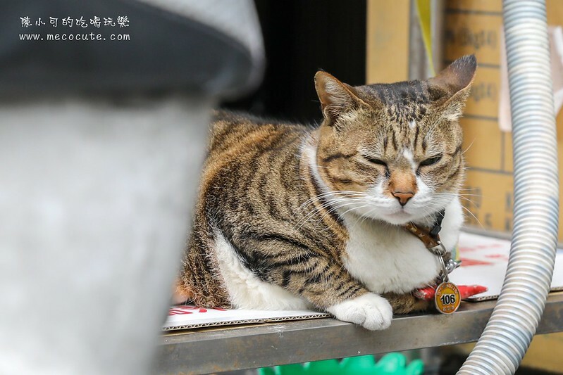 宜蘭縣蘇澳鎮超隱密的巷弄竟然有熱門的伴手禮店，想吃什麼都秤重量，在地人推魷魚絲必買