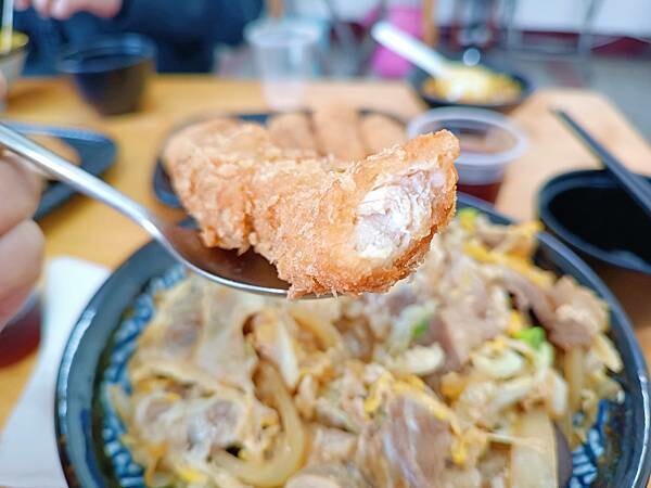 花蓮縣吉安鄉天啊！這份量....這價格...這肉量...花蓮必吃的高CP值美食，千萬不要錯過！【貓咖哩(原鐵道咖哩)】~花蓮美