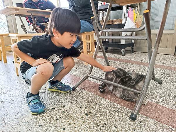 花蓮縣吉安鄉天啊！這份量....這價格...這肉量...花蓮必吃的高CP值美食，千萬不要錯過！【貓咖哩(原鐵道咖哩)】~花蓮美