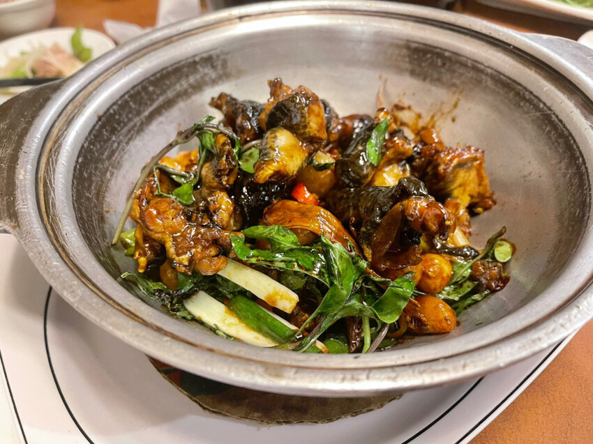 嘉義市東區嘉義東區—體育館海鮮碳烤｜美食Youtuber激推人氣熱炒 重油重鹹難以招架｜垂楊路