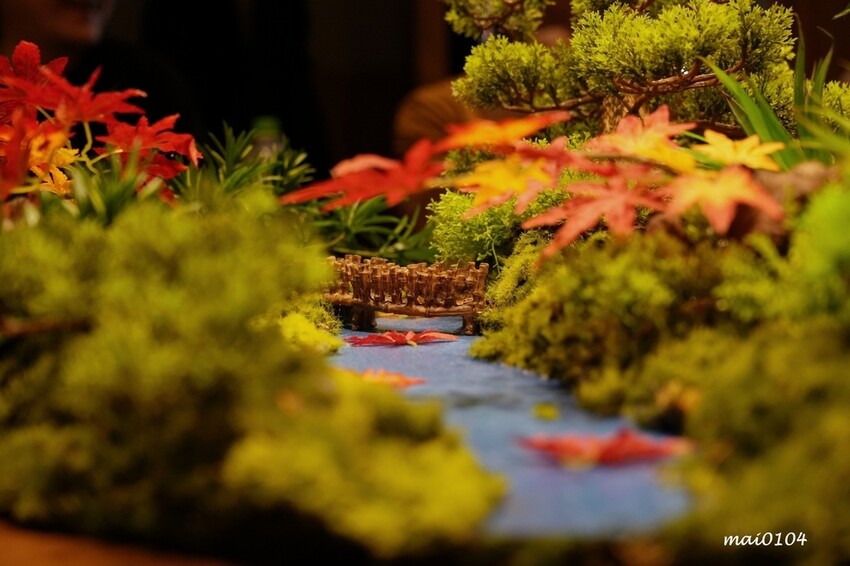 桃園市中壢區中壢梁家私廚～中壢新開幕無菜單料理、私廚料理，不收服務費、盡情暢飲無酒精飲品