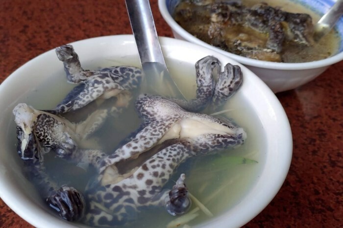 台中市北屯區(台中/北屯)伍壹冰研所,來一場美國51特區的探索,享受美好冰品的世界吧