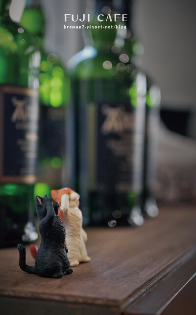 《台中中區》富吉珈琲Fuji Cafe│台中火車站商圈日系禪 富吉咖啡-15