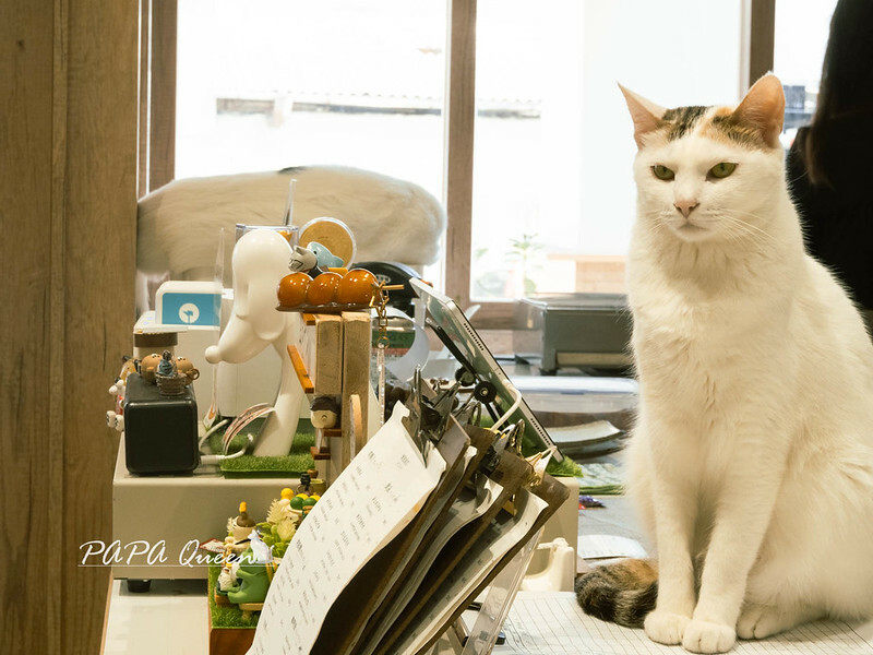 台中市西區台中西區｜翌日十彡｜清新的日式點心舖，烤糰子，飯糰VS.貓店長