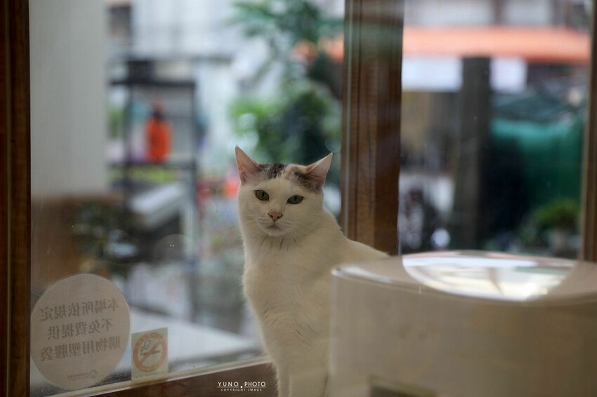 台中市西區糰子控必收!好吃又好拍 還可DIY烤糰子 激推飯糰及咖哩飯更是必點